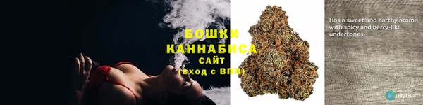 прущие грибы Алзамай