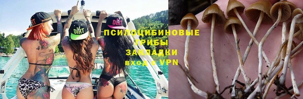 стафф Алексин
