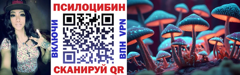 Псилоцибиновые грибы Magic Shrooms  Купить закладки  Павловская 